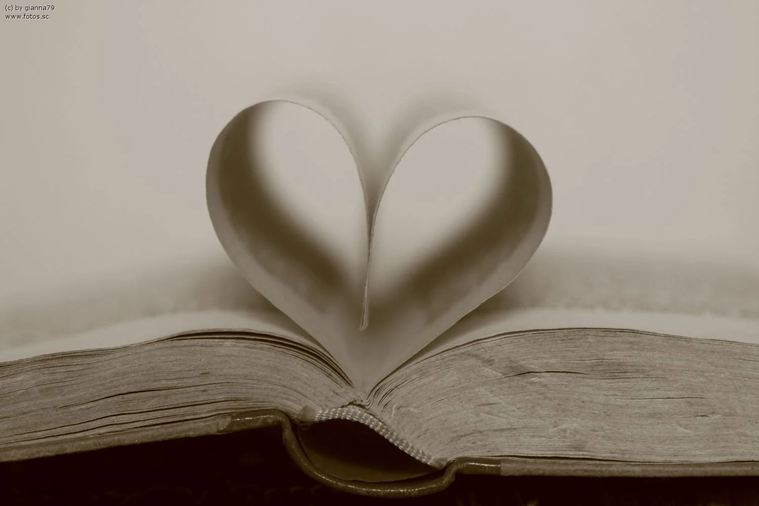 Alltagsbegleitung mit Zeit & HerzJessica Fischer - Herz aus Buchseiten